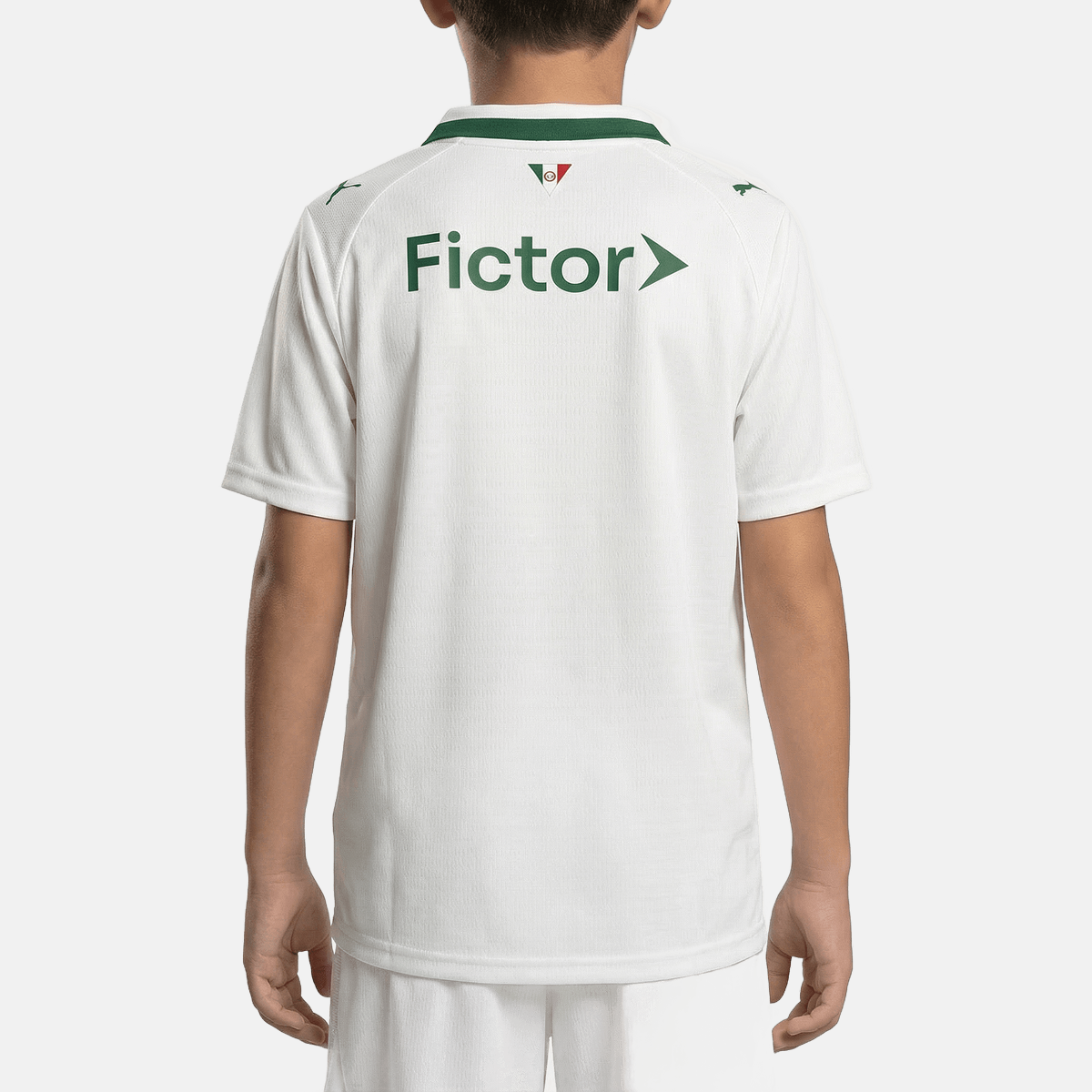 Kit Infantil Palmeiras Reserva 26/27